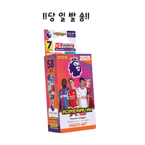 파니니 2025 EPL 축구카드 멀티세트 / 아드레날린 XL, 1개