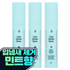 히이즈 민트향 입냄새 제거 스프레이 구취&구강 청결제, 3개, 10ml