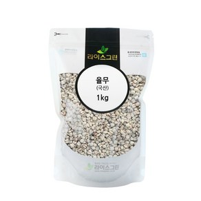 라이스그린 율무 (국산) 1kg