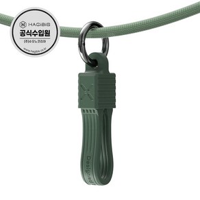 하기비스 USB4 썬더볼트3/4 C to C타입 고속데이터충전 짧은 숏 케이블 UCD5G / 그린, 13.5cm, 1개