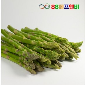 냉동 아스파라거스 1kg 채소 야채 구이 캠핑요리, 1개