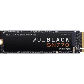 WD_BLACK 2TB SN770 NVMe 내장 게이밍 SSD (WDS200T3X0E), 250GB, 1