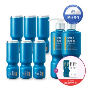 [자올 닥터 오더] [샴푸 2종 4EA] 3개월 컴플리션(시너지부스터100ml 6EA + 스케일링 샴푸500ml 2EA), 상세 설명 참조, 1개, 상세 설명 참조