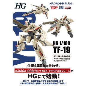 [반다이] HG 1/100 마크로스 플러스 YF-19