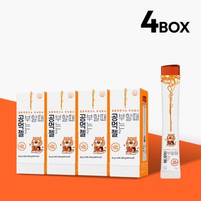 공먹젤 2 집중력연구소, 10정, 200g, 4박스