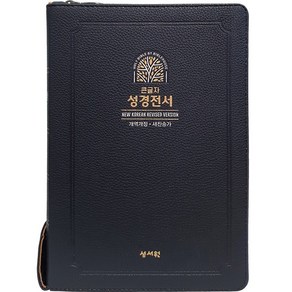 큰글씨 성경책 개역개정 새찬송가 특대 SB