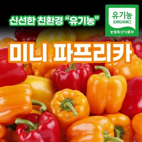 [특상품] 신선한 친환경 유기농 미니 파프리카 (혼합), 1개, 500g(특상품)