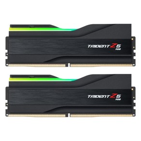 지스킬 DDR5-6400 CL32 TRIDENT Z5 RGB J 64GB, 2개