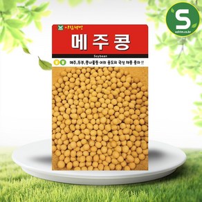 솔림텃밭몰 메주콩씨앗 30g 메주콩 백태 콩씨앗 청국장 메주원료, 1개