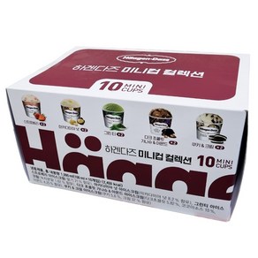 코스트코 하겐다즈 미니컵 컬렉션 아이스크림 100ml x 10개 / 아이스박스 포장 발송, 1개, 1L