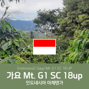 [인도네시아]G1 가요마운틴 18up 세웅지씨 산지 직수입 생두 1kg, 1개