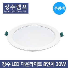 장수램프 LED 다운라이트 매입등 8인치 30W 천장등, 주광색(하얀빛)