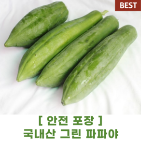 [ 안전포장 ] 국산 국내산 그린 파파야 3kg 내외 green papaya 쏨땀 재료 필리핀 동남 아시아 식재료 샐러드 동남아 특수 채소 야채 과일