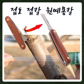 신교날 나무 접목 접목도 식물테이프, 접목칼+ 20mm식물테잎1개 + 30mm식물테잎1개, 1개