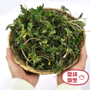 참새마켓 손질냉이, 1개, 1kg