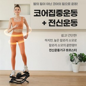 포바디 트위스터 스텝퍼 홈트 밸런스 전신운동기구