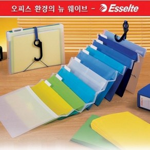 Esselte 벽에 걸어 착.착.착..6포켓 도큐멘트화일-에쎌트 wall-hanging Slide File HF183, 블랙