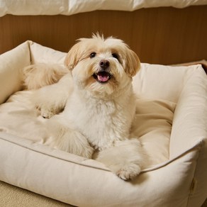 세이펫 폴인베드 강아지 고양이 사계절 방석 쿠션, 에코베이지, 1개