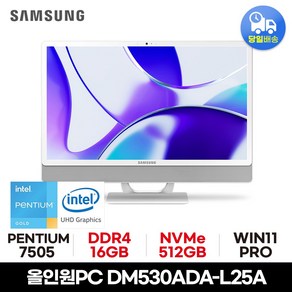 삼성 올인원PC DM530ADA-L25A 사무용 가정용 공간활용 일체형PC, WIN11 Po, 512GB, 16GB