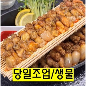 [산지직송] 제철판다 국산 진동 미더덕 생물 손질 참미더덕 오만둥이, 1개, 미더덕 500g(생물)