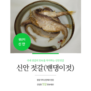 김장 신안 밴댕이젓갈 3.5kg, 5kg, 1개