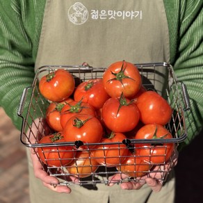 [젊은맛이야기] 완숙토마토 찰토마토 못난이토마토 젊은맛이야기 완벽검수, 1박스, 5kg(못난이 주스용)