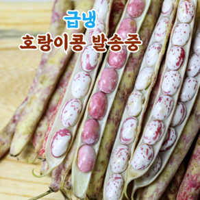 국산 햇 껍질 호랑이콩 울타리콩 밤콩 매화콩, 1개, 2kg