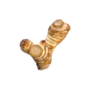 신선한 태국 생 갈랑갈 령 매운 생강 galangal 100g, 아이스박스, 1개