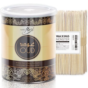 ITALWAX 넓은부위용 소프트 플렉스 틴 우드 800g + 왁싱몬스터 스파츌라 L 100개입, 1개