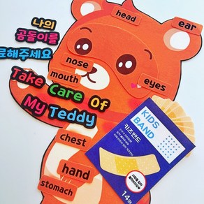 영어펠트교구 곰돌이 바디 파트 치료 병원 놀이