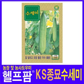 헬프팜 수세미 20립 씨앗 종자 KS종묘, 1개