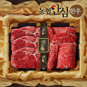 농협안심한우 1등급 불고기국거리선물세트 1.2kg, 1개