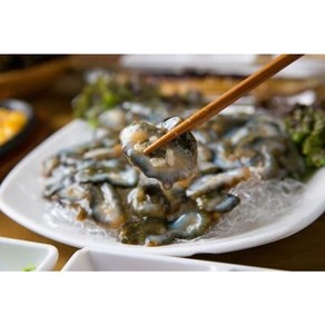 [달봉수산] 싱싱한 제철 남해안 활 해삼 / 참 해삼, 1개, 500g