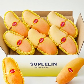 [수플린] 새콤달콤 고당도 마하차녹 무지개망고 1.9kg (5~7입/로얄과), 1박스