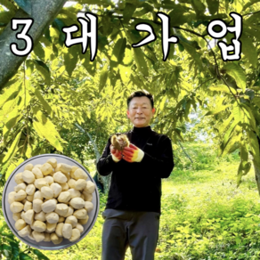 부여 깐밤 200g 1개