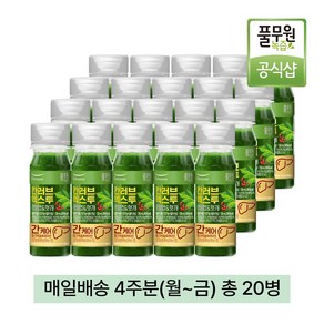 [매일배송 주5회x4주] 녹즙 칸러브엑스투 130ml, 20개