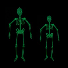 야광전신해골, 2. 야광 전신해골(대 1개)