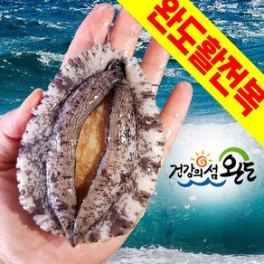 완도활전복 산지직송 완도전복 1kg 8~9마리 특대전복 VIP선물용 해수포장