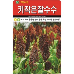 키작은 찰수수 씨앗 20g, 1개