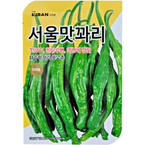 서울맛꽈리고추씨앗 500립, 1개