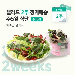 [포켓샐러드] 샐러드 2주 정기배송 주5일 (채소만 샐러드 5종 5팩), 100g, 10개