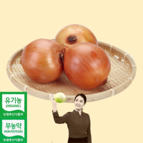 친환경 유기농 양파 / 무농약 양파 1kg 3kg 5kg 10kg, 1개