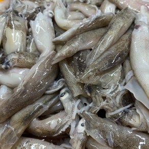 자연산 생물 급냉 총알한치 500g(17미 내외) 내장 통찜