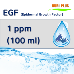 [엔피솝] 이지에프 앰플 EGF 1ppm, 1개, 100ml