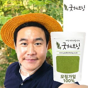 모링가 잎 분말 가루 효능 차 모닝가 파우더 250g 굿허브닝, 1개