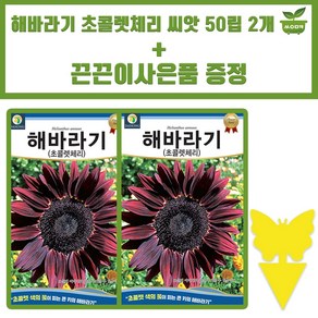 다농 해바라기 씨앗 50립 초콜렛체리 큰키 해바라기 꽃씨 종자 2개+끈끈이 1P 증정, 1세트