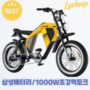 Luckeep 2025년 전기자전거 PAS 자토바이 고압 성인용 52v 1000W 배달용 M5-max, 불랙, 알루미늄