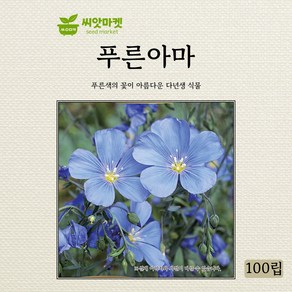 다농 푸른아마 씨앗 100립, 1개