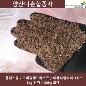 양잔디혼합 1kg 20kg 풀씨 양잔디혼합3종 혼합종자