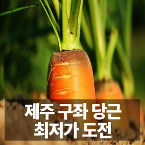 싱싱한 국내산 프리미엄 제주 구좌 흙당근 당근, 1개, 5kg 왕과